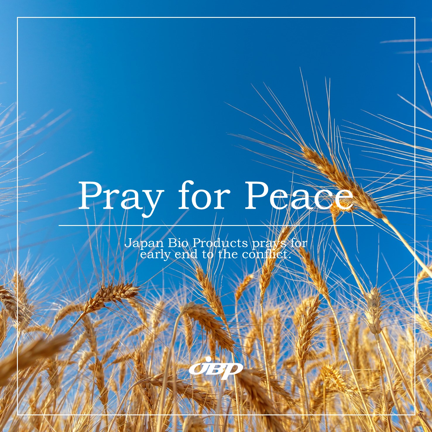 Ukraine - pray for peace v3