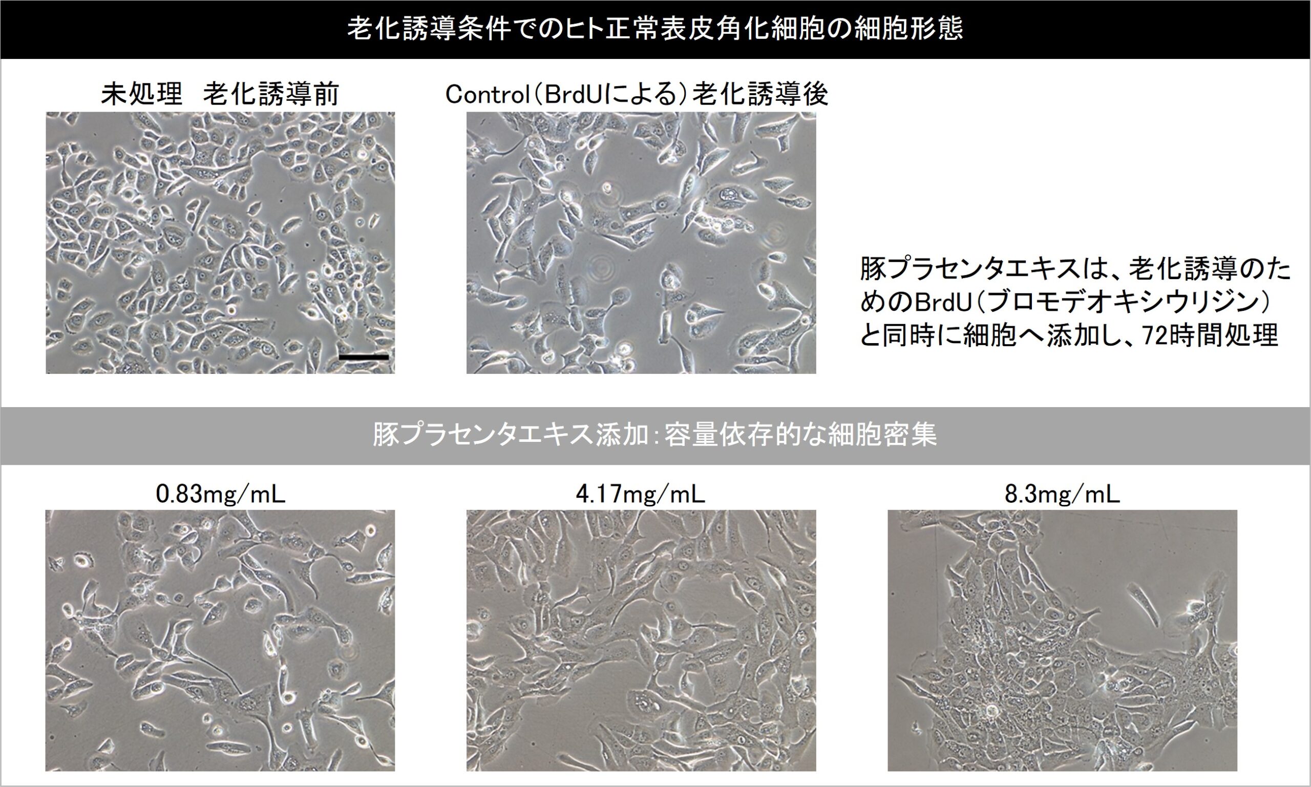 化粧品用 豚由来プラセンタエキス | 株式会社日本生物製剤